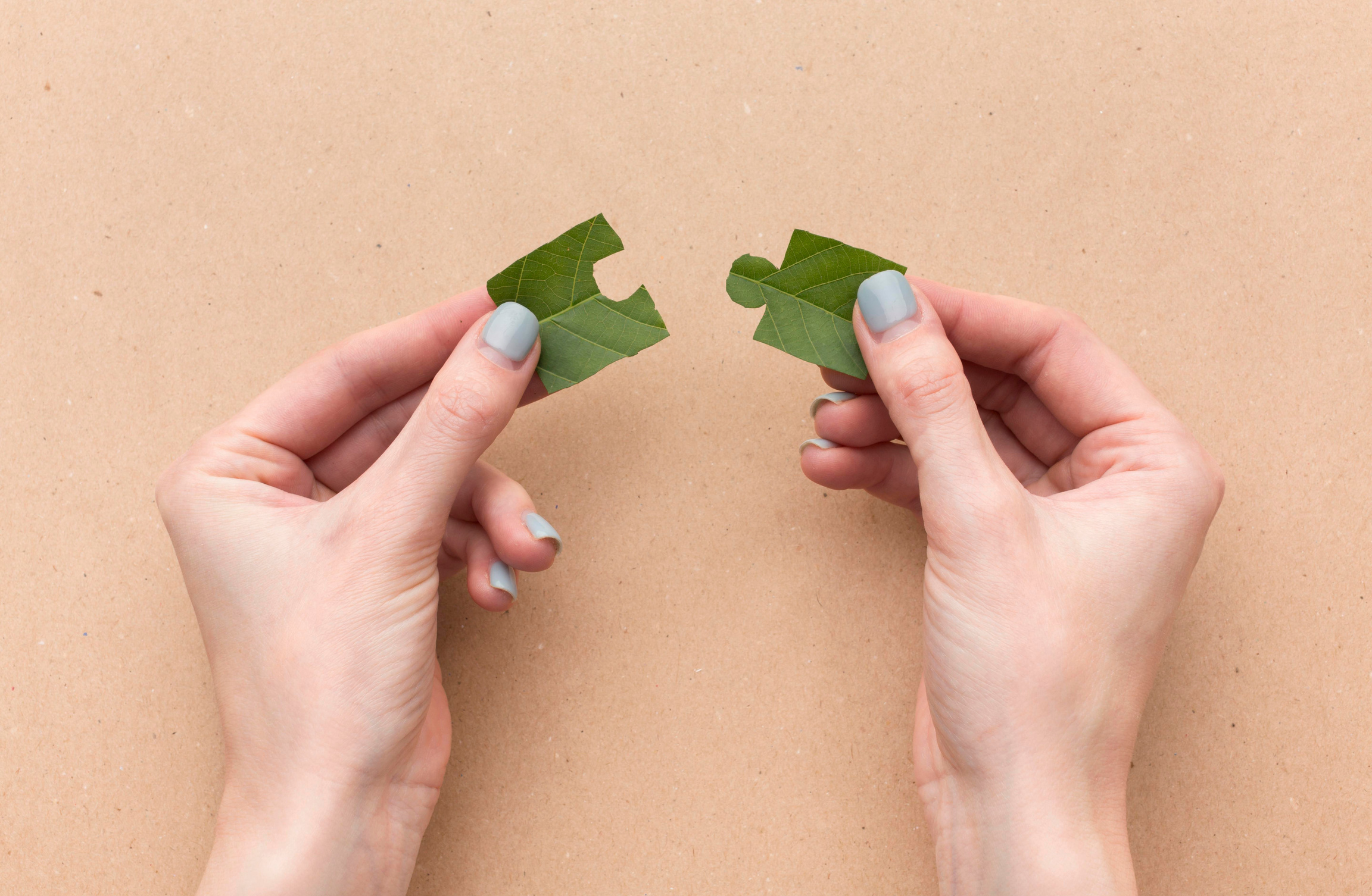 organic vs paid social media article cover