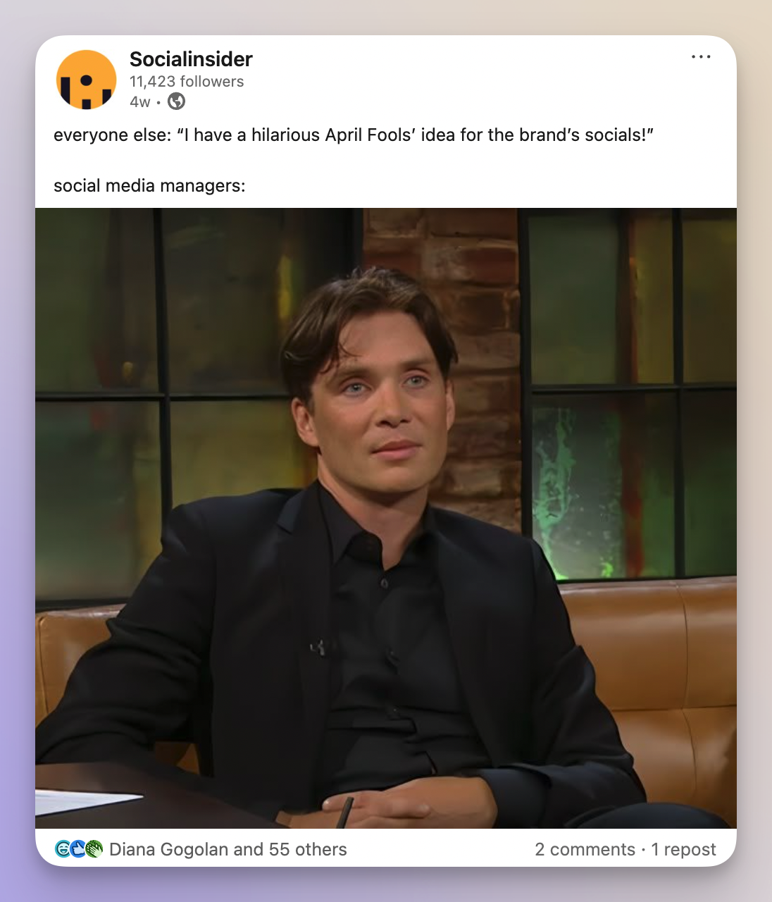 socialinsider meme usage example