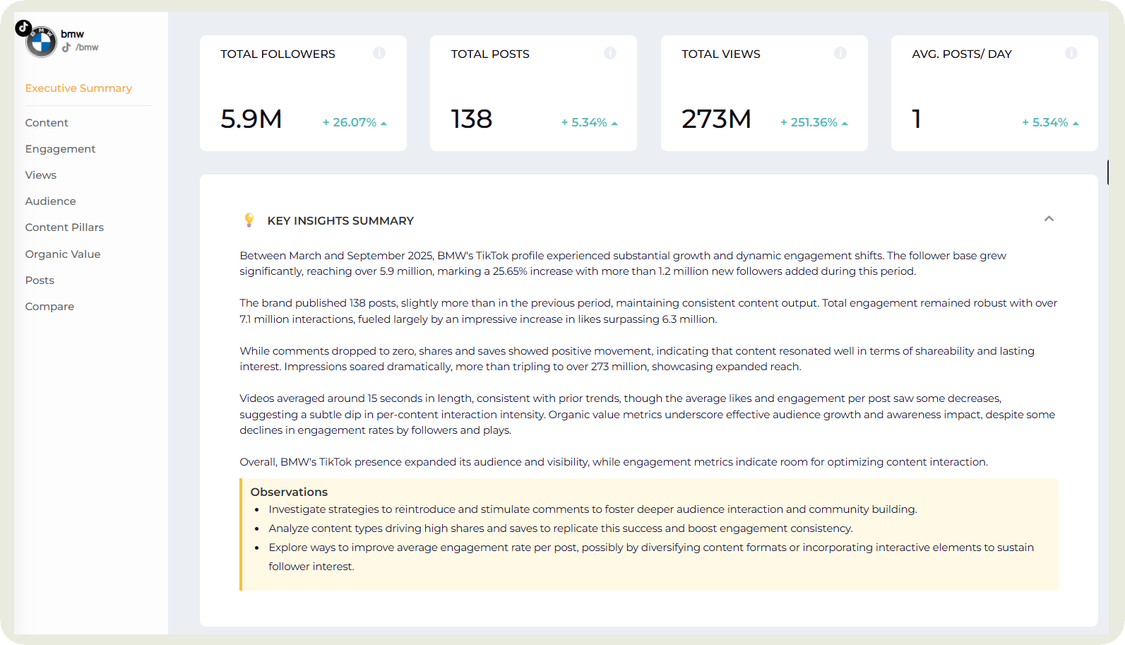 bmw tiktok executive summary