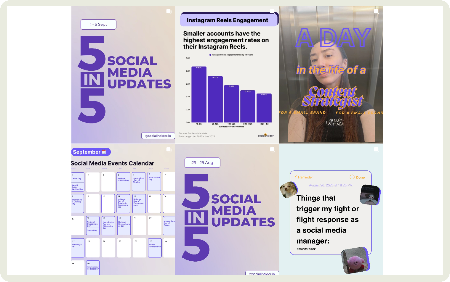 socialinsider posts 2
