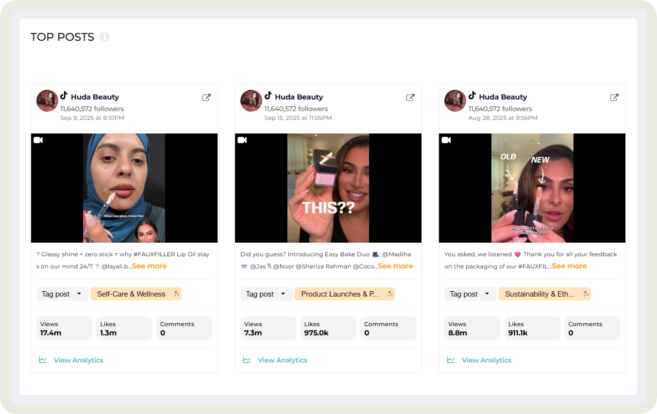 top posts in socialinsider 2.png