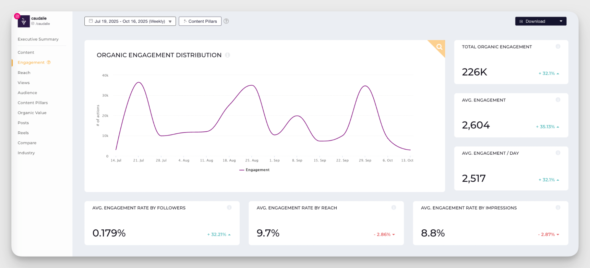 detailed engagement data