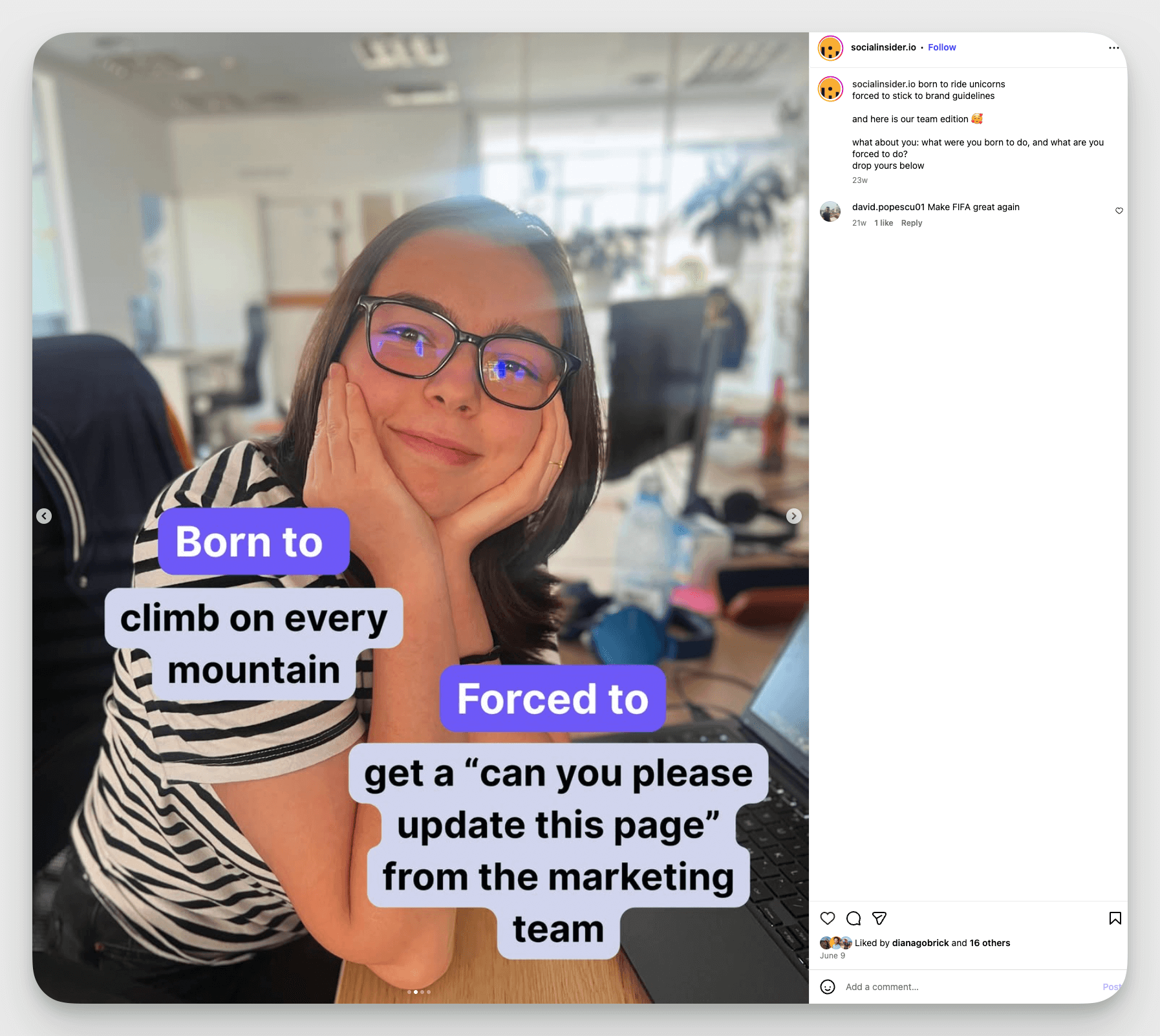 socialinsider instagram post