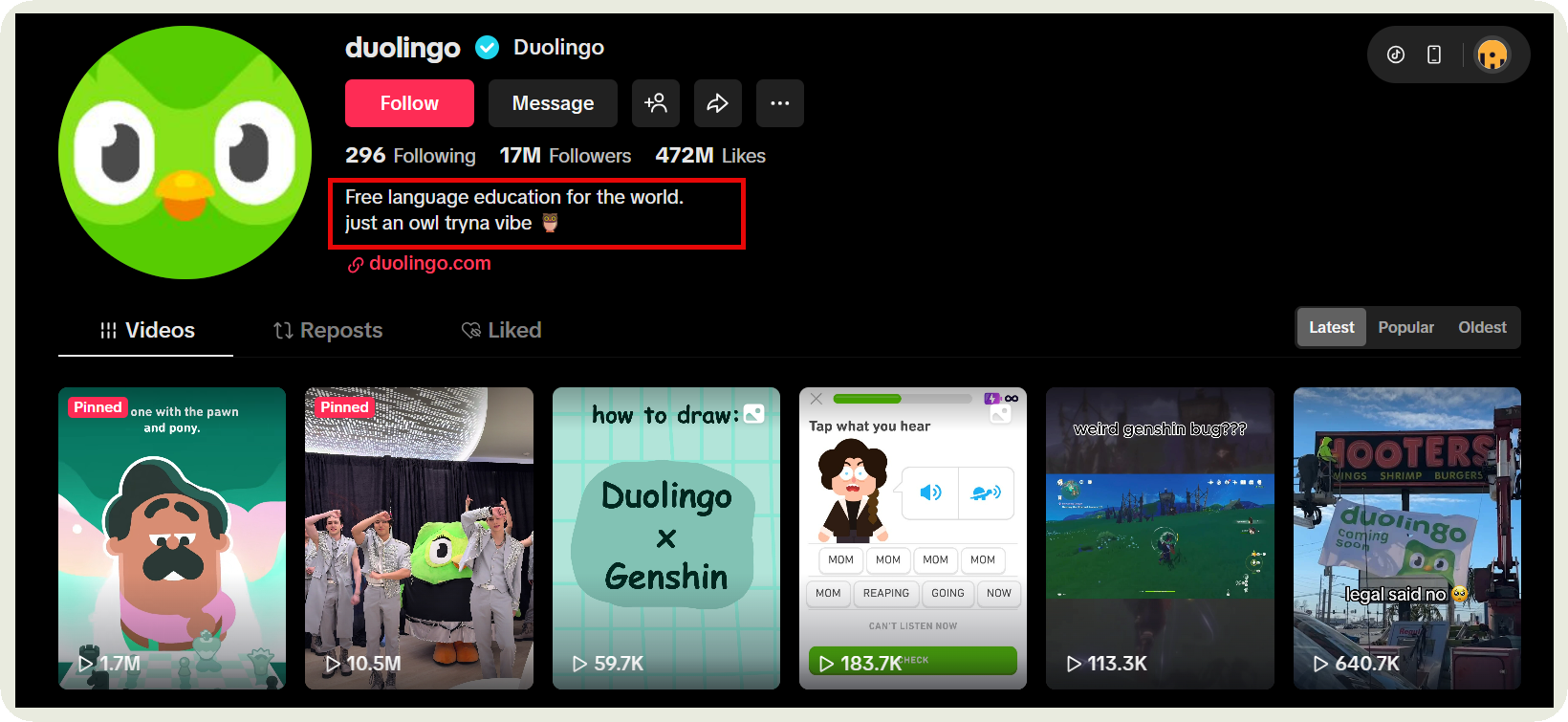 duolingo tiktok bio example