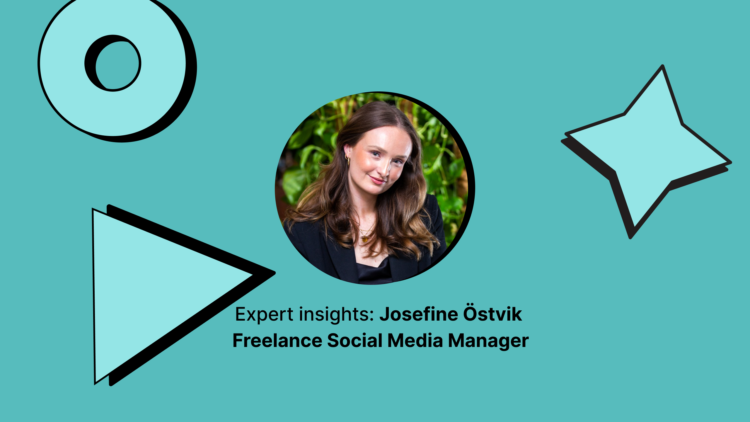 tiktok for b2b cover