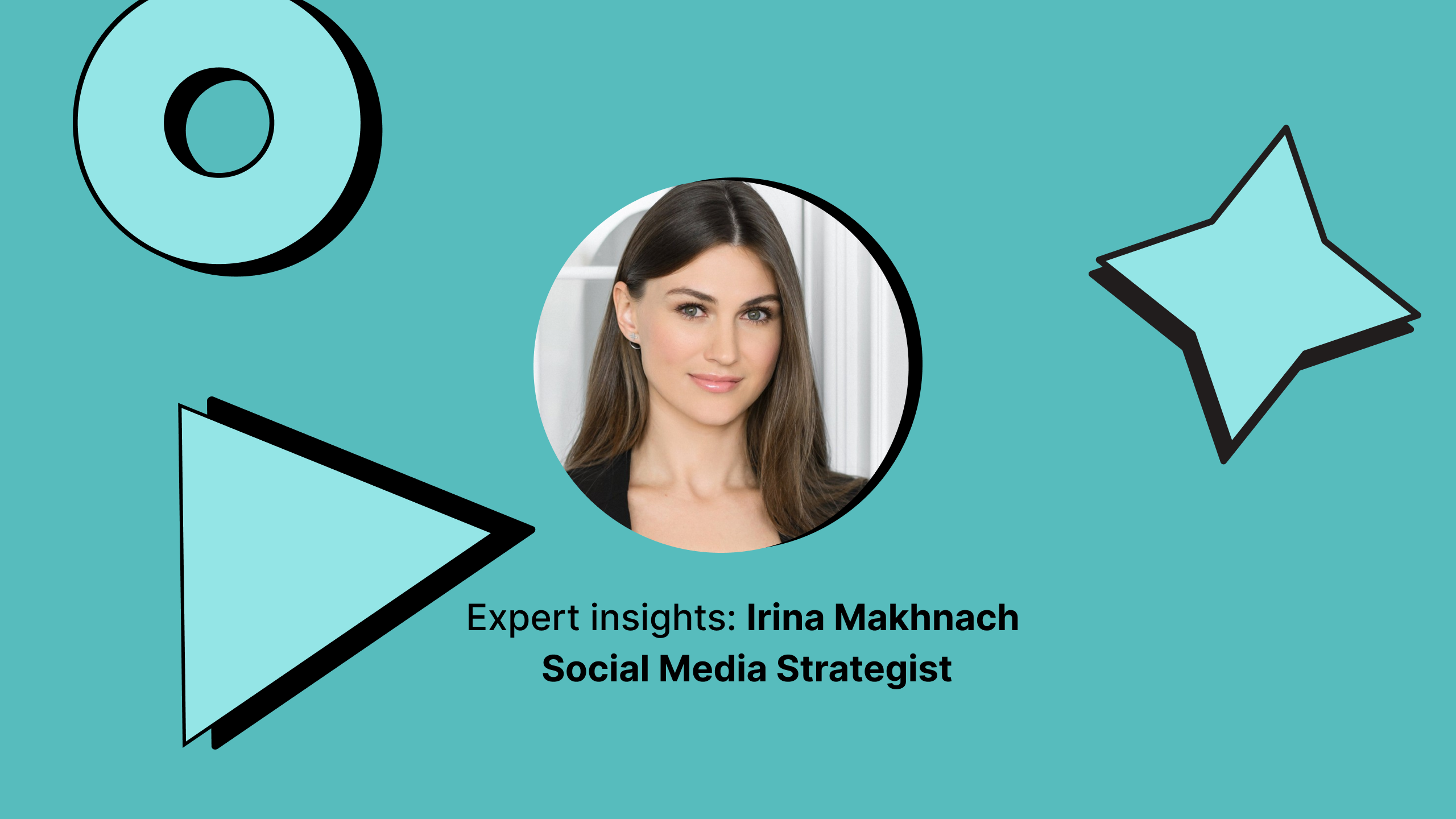 tiktok audience insights