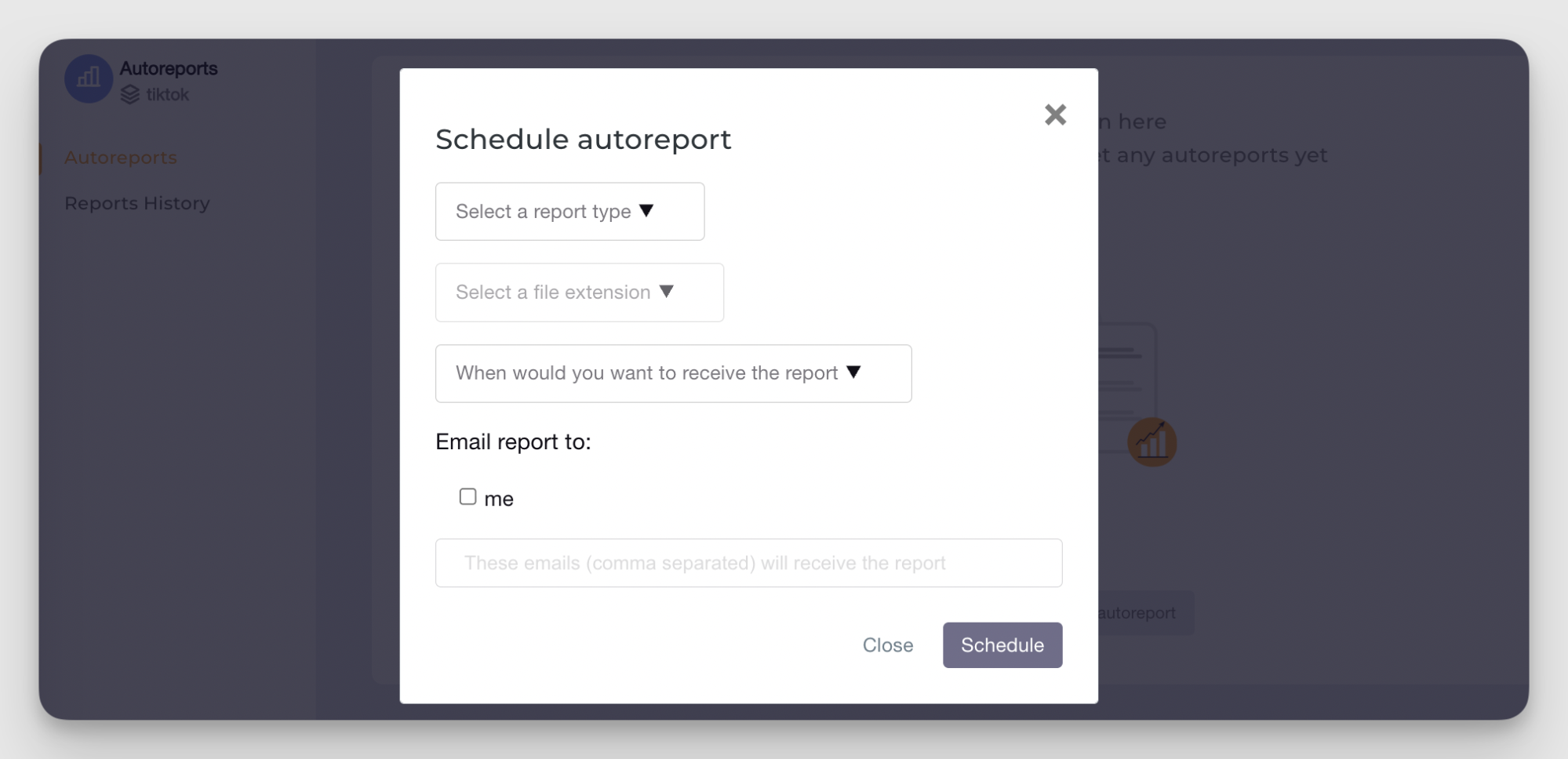 socialinsider automated reporting feature