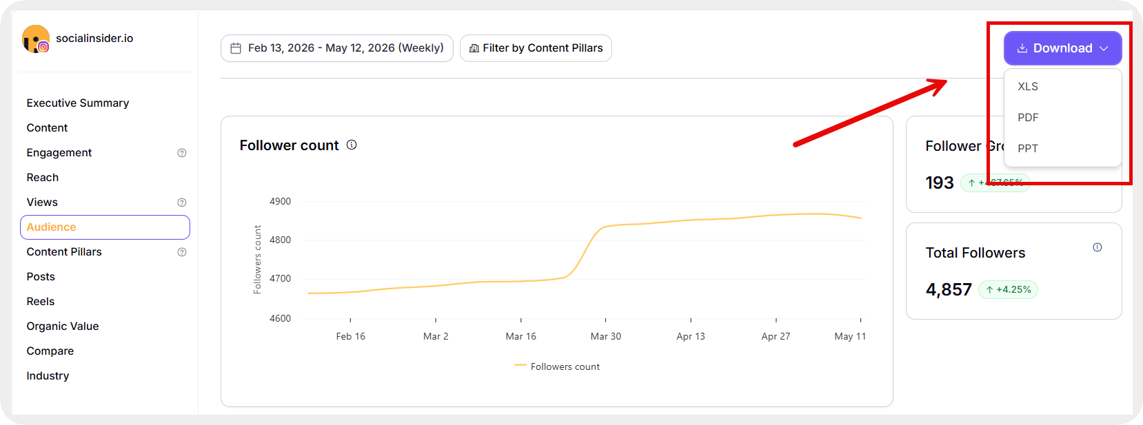 socialinsider report formats